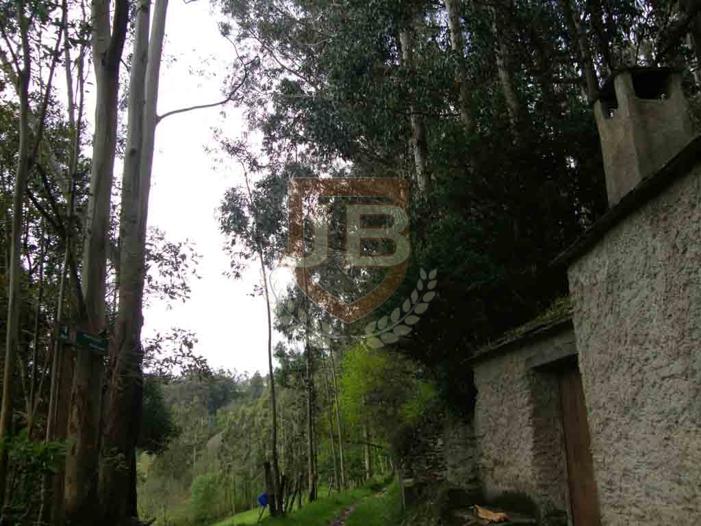 http://ciclosagraria.cursosytemarios.es