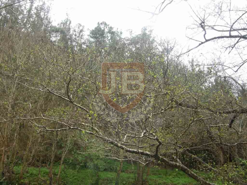 http://ciclosagraria.cursosytemarios.es