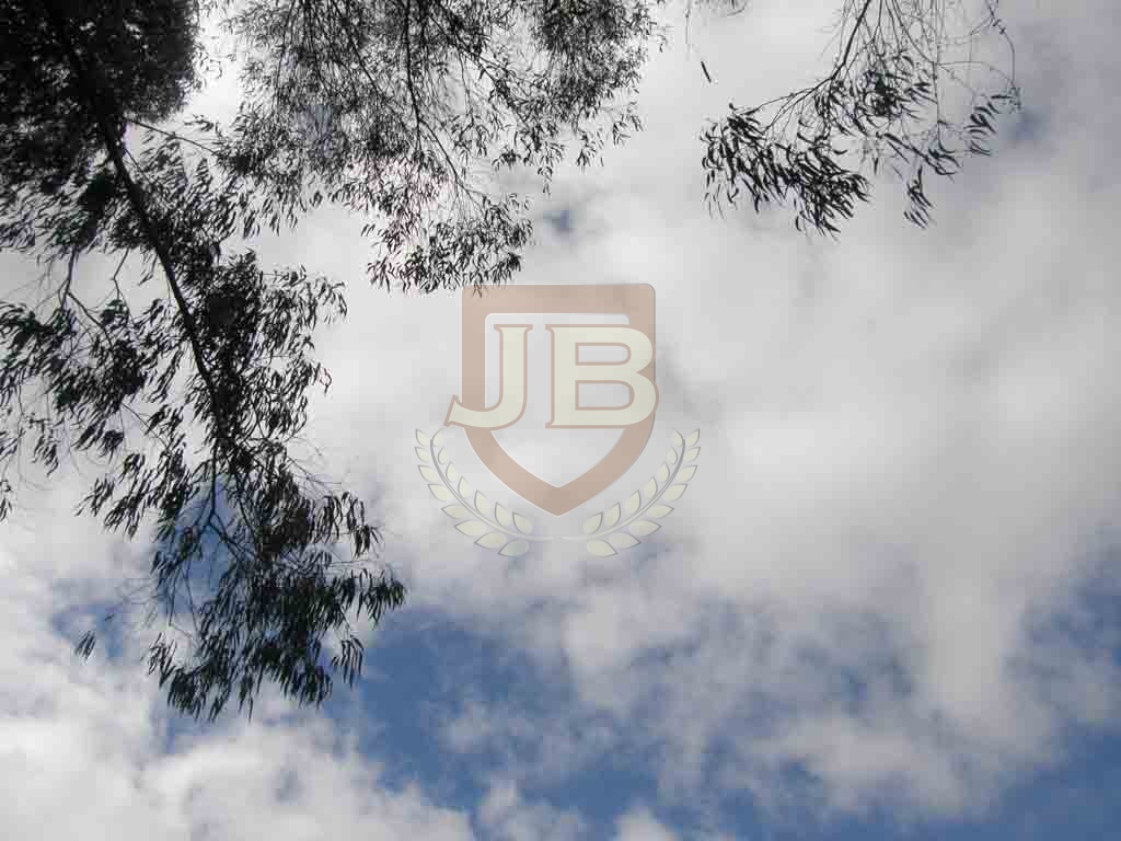 http://ciclosagraria.cursosytemarios.es