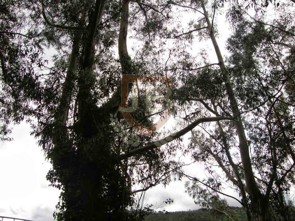 http://ciclosagraria.cursosytemarios.es