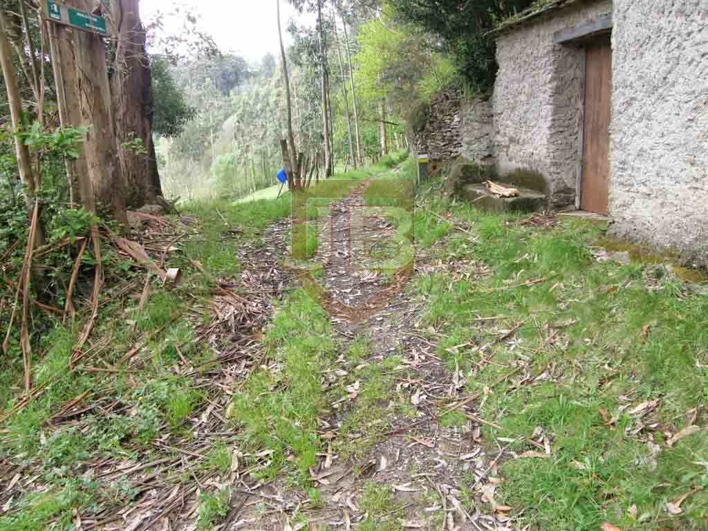 http://ciclosagraria.cursosytemarios.es