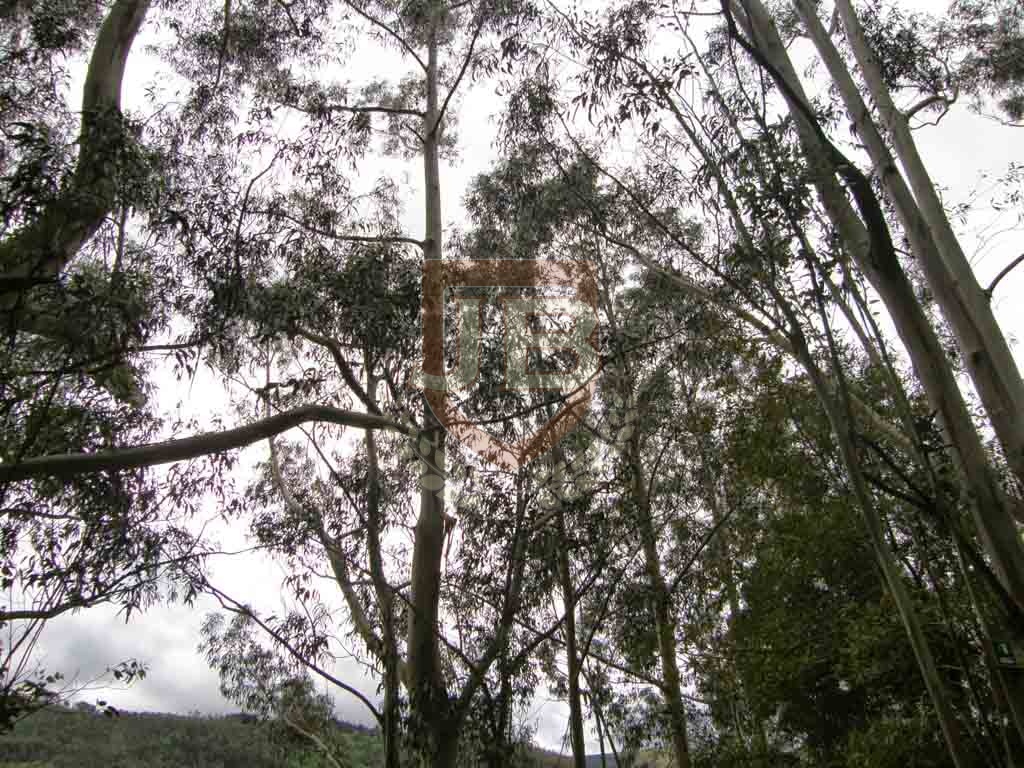 http://ciclosagraria.cursosytemarios.es